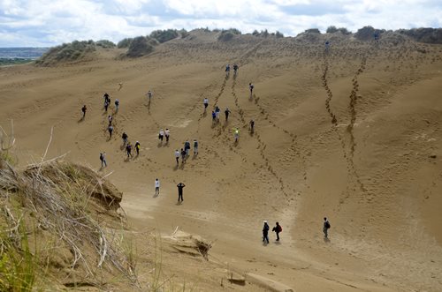 Exploring the sand dunes of the UNESCO North Devon Biosphere Reserve