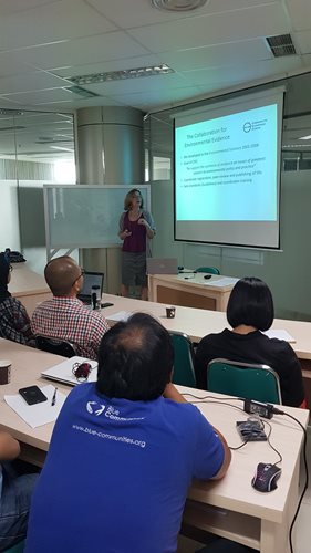 Prof. Ruth Garside gives a presentation in Indonesia